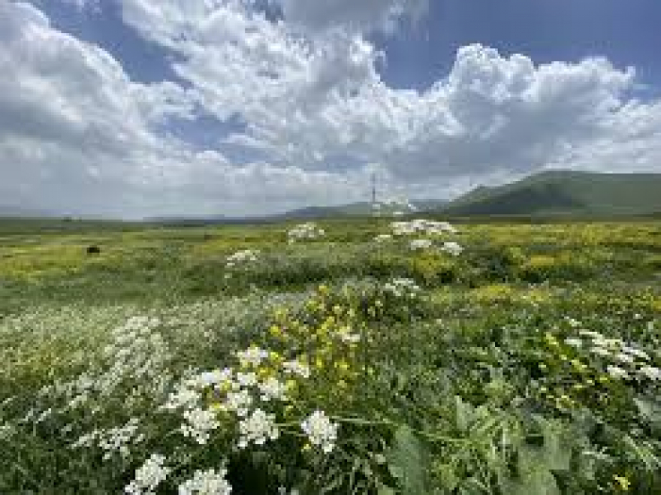 Սպասվում է առանց տեղումների եղանակ