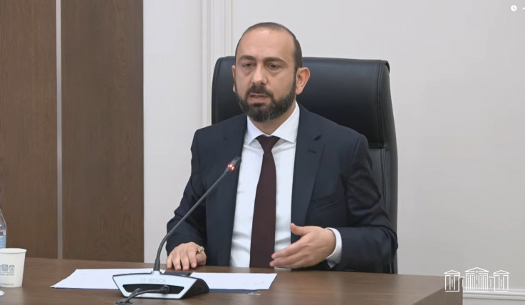 ԵՄ վիզաների ազատականացման գործընթացը բավականին արագ է տեղի ունենում. Միրզոյան
