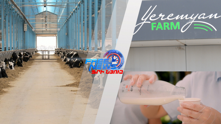 «Երեմյան ֆերմա»․ սերմից մինչև սեղան՝ անարատ, բնական, բարձրորակ կաթ