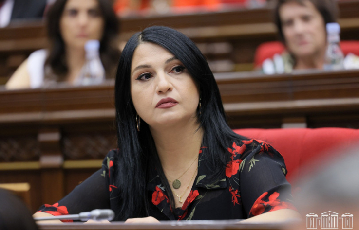 Ազատ խոսք ասելով՝ ի՞նչ են հասկանում դաշնակները, ավելի ազատ խոսք լինի, որ էլ ի՞նչ խոսեք. Ստեփանյան