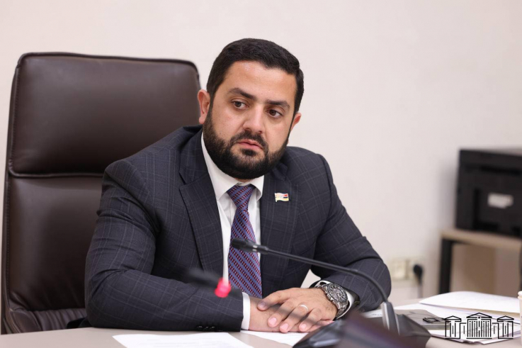 Ամանորի կապակցությամբ այցելել էի Կապանի պատվավոր քաղաքացի Սվետլանա  Գևորգյանին.Դավիթ Դանիելյան 