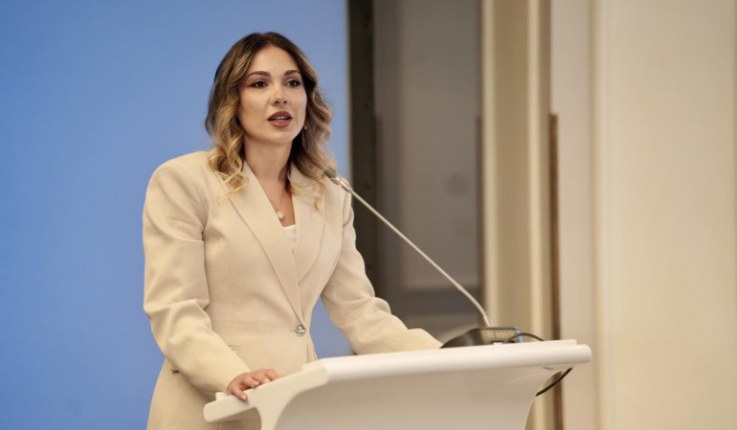 Տեղի է ունեցել Սահմանադրական բարեփոխումների խորհրդի հերթական նիստը