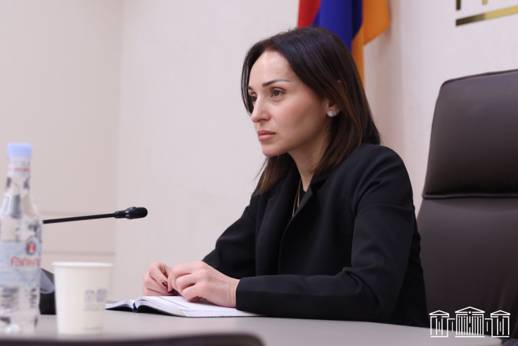 Ծովինար Վարդանյանը հանդիպել է «ՀԿ Կենտրոն» քաղաքացիական հասարակության զարգացման ՀԿ-ի և ոլորտային առաջատար կազմակերպությունների ներկայացուցիչների հետ