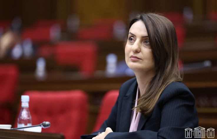 Հետվճարի մեխանիզմը կշարունակի գործել, կավելանան նաև հաշմանդամության նպաստները. Բաթոյանը թվեր է ներկայացրել