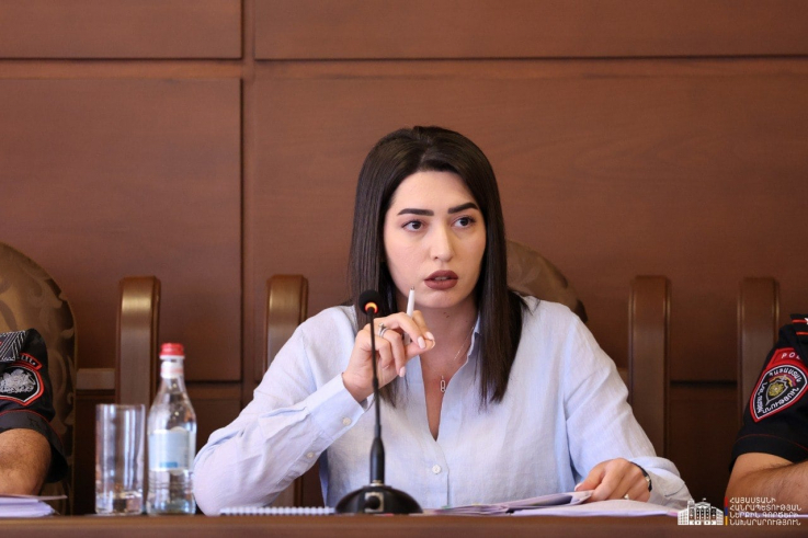 Միակ իրավասու մարմինը՝ Հակակոռուպցիոն կոմիտեն պետք է քննի և անաչառ գնահատական տա դեպքերի վերաբերյալ․ ՆԳ նախարար 