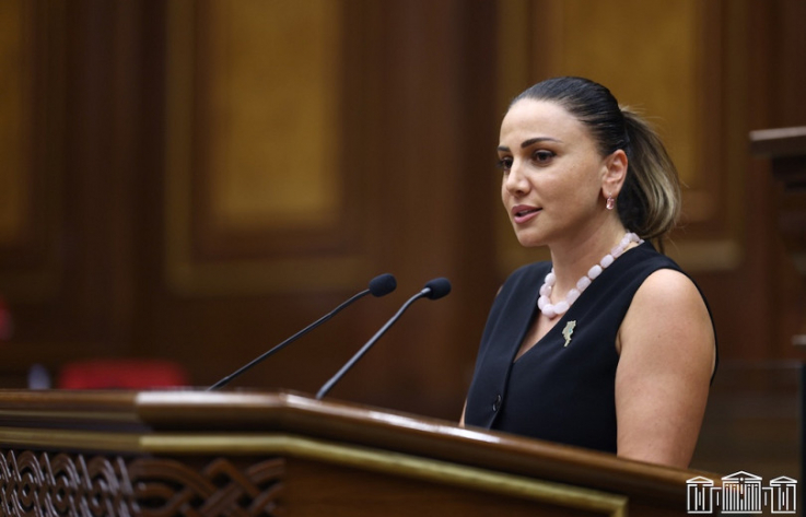 Իրենք հարցեր ունեն, թող պարզեն, ավարտեն, հասուն մարդիկ են ու քաշքշում են իրար. Մանավազյան